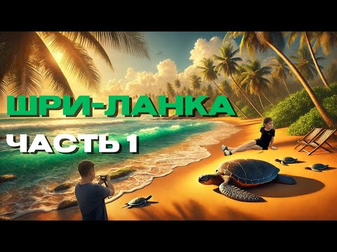 Видео: Черепахи, Вараны и Лучший Пляж Шри-Ланки!