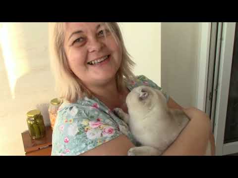 Видео: Скоро Новый год . Декабрь 2022.