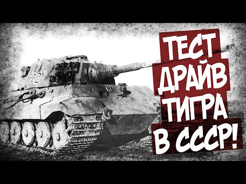Видео: Что Показали Испытания Тигров В СССР?