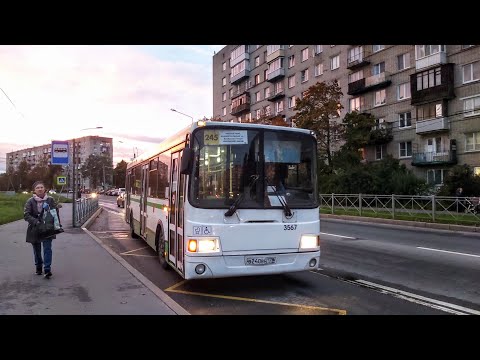 Видео: Автобус, маршрут №245 ЛиАЗ-5293.53 б.3567 (04.10.2022) Красное Село/ Санкт-Петербург