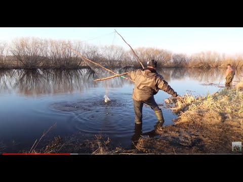 Видео: Рыбалка на Кривду  Как ловили рыбу наши предки