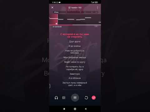 Видео: Караоке - Серебро ( Би 2 )