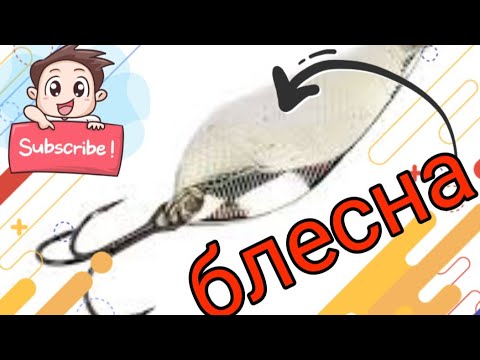 Видео: БЛЕСНА, и как ее выбрать?