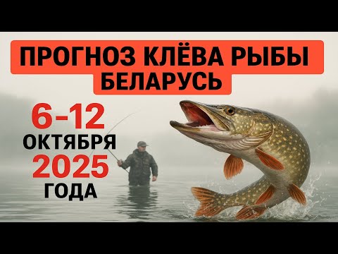 Видео: ПРОГНОЗ КЛЁВА в Беларуси с 6 по 12 октября 2025 года. Бросай все и на рыбалку!