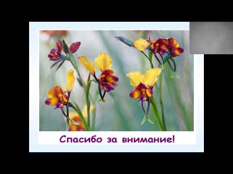 Видео: 31.03.21 3 к МПФ Лекция № 5" Молекулярно-биологические исследования"