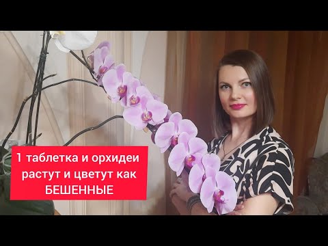 Видео: Одна таблетка и орхидеи будут цвести и расти как бешенные. Цветение SogoYukidian.  22.02.2022 г.