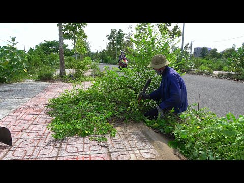 Видео: Все изменится после 2 часов уборки тротуара – эффектная трансформация