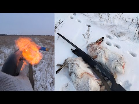 Видео: Охота на зайца 24-25г. Столько много следов!!!!
