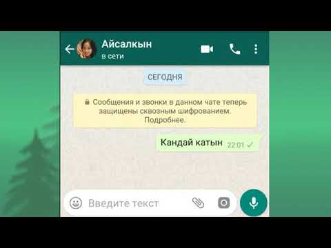 Видео: Эн кызыктуу | Whatsap СМС