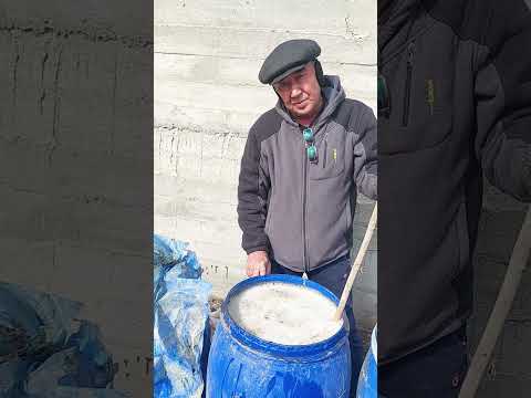 Видео: Еселе премиум (эм биогум) препаратын көбейту жолдары