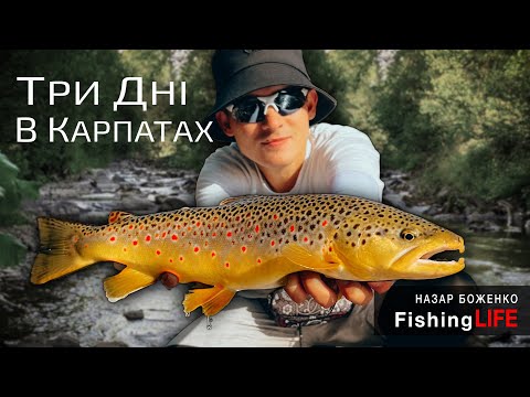 Видео: Рибалка в КАРПАТАХ на Річкову Трофейну Форель і Харіуса