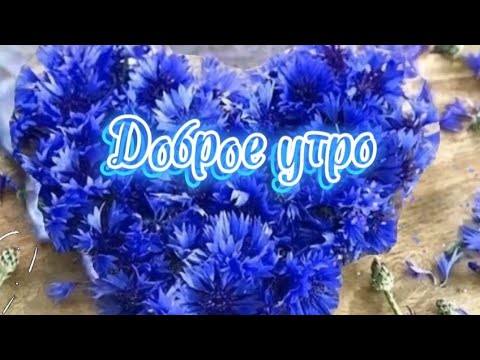 Видео: Доброе утро. Старая  дворовая песня,которой сто лет.😅Хорошего дня.