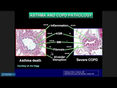 Видео: Средства влияющие на органы дыхания