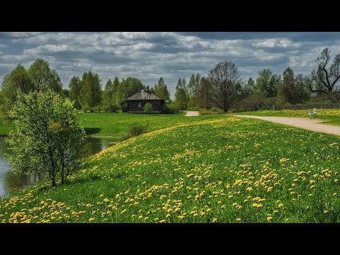 Видео: Сельские будни вязальщицы