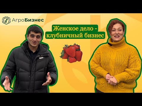 Видео: Как создать бизнес на клубнике ? Женский опыт заработка на сельском хозяйстве