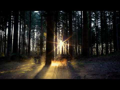 Видео: Nautilus Pompilius - Утро Полины - slowed - reverb