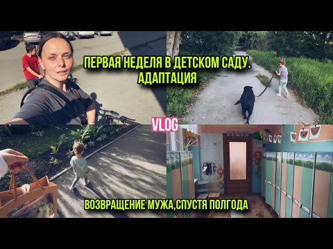 Видео: Адаптация в детском саду. Первая неделя🫣/ Муж вернулся, спустя полгода😳