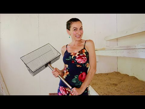 Видео: Я Потеряла Надежду 🥲 | Как я Чищу Курятник | Не Сладкая Жизнь | Распаковка | Семейный Влог | Эгине