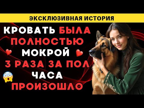Видео: Мой пёс сделал то, что мой муж не смог за 10 лет – и мне это понравилось