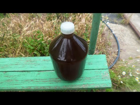 Видео: Винаделие на даче. S02E09. Вино из сливы. Финиш