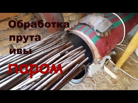 Видео: Обработка прута ивы паром для очистки от коры