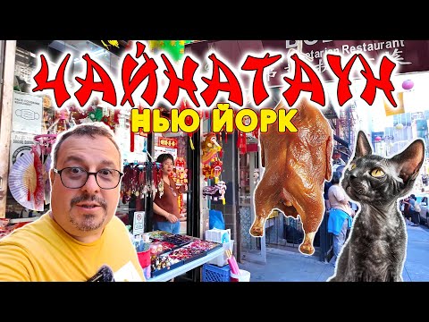 Видео: Нью Йорк. Чайнатаун. Китайский район, Маленькая Италия, Китайский магазин, Китайские жареные утки.