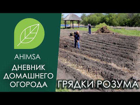 Видео: Грядки Розума / Дневник домашнего огорода "Ахимса"