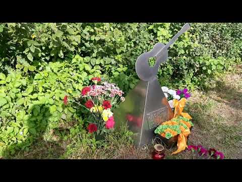 Видео: В. Цой. 35 км. 2024. (мало людей, увы...)