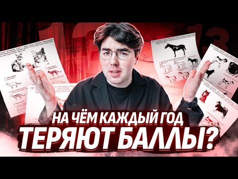 Видео: Мощный разбор 13 задания для ОГЭ по Биологии | На чём каждый год теряют баллы?