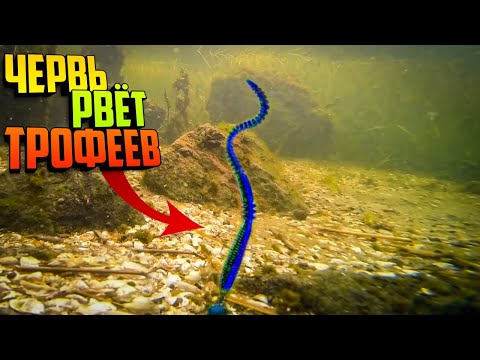 Видео: !!! ВЫ не ПОВЕРЕТЕ !!! Ловля СУДАКА на МЕЛКОВОДИИ летом, Ловля судака летом, Судак на джиг, Рыбалка