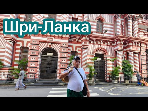 Видео: Завтрак в отеле Grand Oriental. Первое утро в Коломбо. Взяли рикшу, едем на экскурсию. 