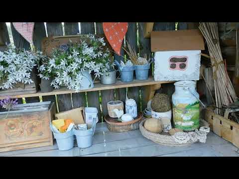 Видео: Коварный враг с прекрасным лицом. Птицемлечник.