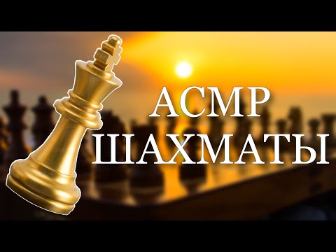 Видео: АСМР ШАХМАТЫ | БЛИЗКИЙ ШЕПОТ