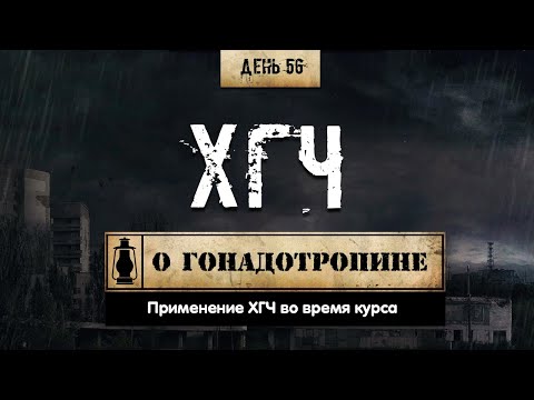 Видео: 56. ХГЧ. Гонадотропин человека (Химический бункер)