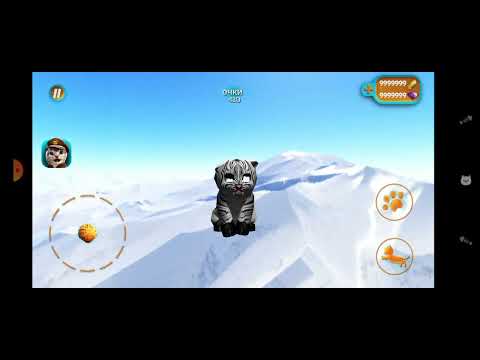 Видео: страшный баг в Cat simulator 2015