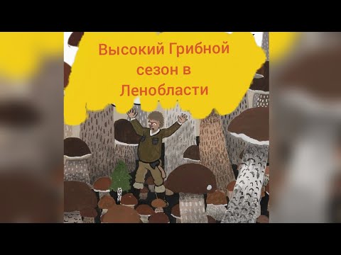 Видео: Высокий грибной сезон ,  сентябрь 2025 часть 1