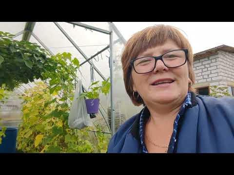 Видео: Скоро на юг, а на даче ещё много дел! 