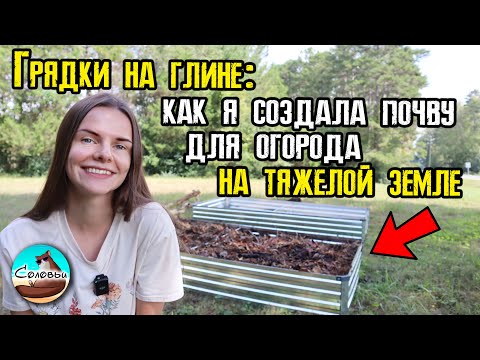 Видео: Грядки на глине: как я создала почву для огорода на тяжелой земле