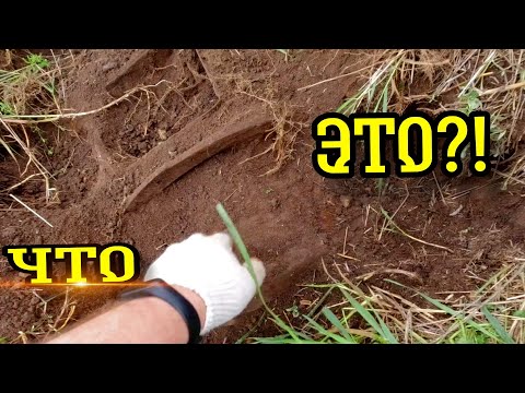 Видео: Коп. Я МЕЧТАЛ ЭТО НАЙТИ! #заработок #копарь #hunting #коп #металлокоп #копвпосадке