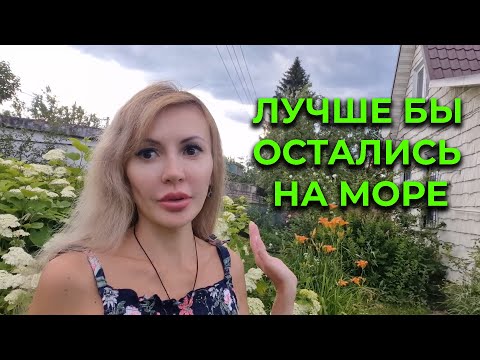 Видео: Приехали домой и ОБАЛДЕЛИ 😮 Работы непочатый КРАЙ 🤦‍♂️ Спасение птенца 🐦