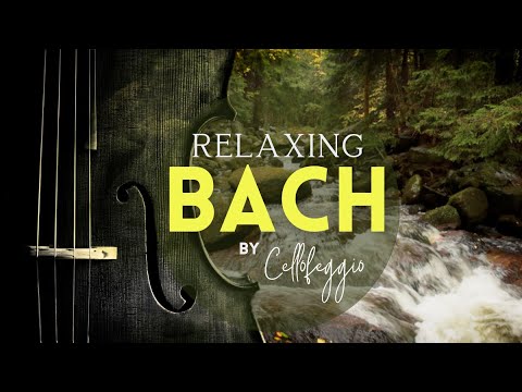 Видео: Расслабляющая музыка Баха | Классическая музыка для релаксации, учебы, или концентрации внимания