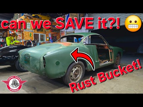 Видео: 4 ноября 2025 г.