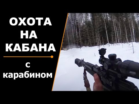 Видео: Удачная охота на кабана