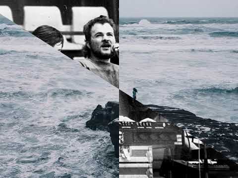 Видео: Николай Парфенюк и ВИА Синяя птица Моря Грустный цвет