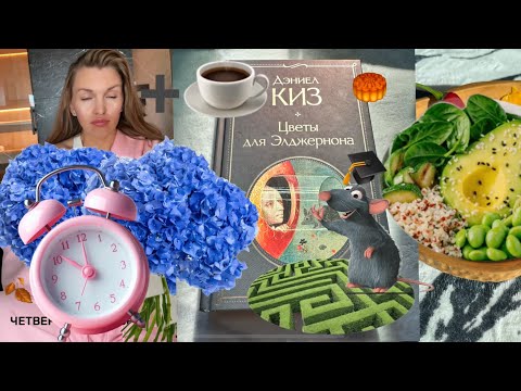 Видео: 24 часа чтения 🌙+☕️ | книжный влог, читаю всю ночь и мне не нравится 🐹