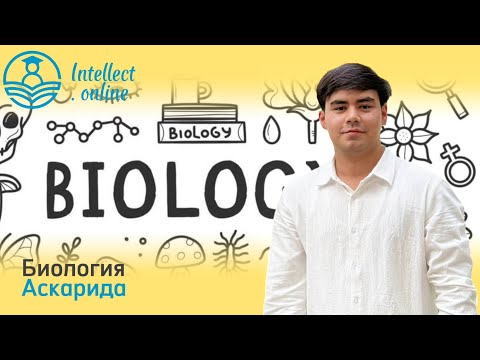 Видео: Биология | Аскарида