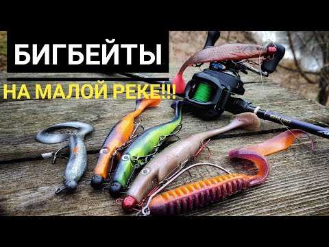 Видео: Ловля на Бигбейты с берега!!! Теория ловли на малой реке!!!