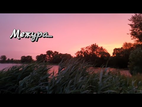 Видео: За карпом на Межуру!!! Такой рыбалки у меня ещё не было.