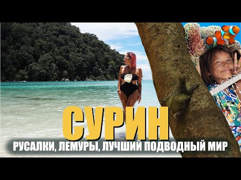 Видео: НАШЛИ НАСТОЯЩИЙ РАЙ НА ОСТРОВАХ СУРИН!