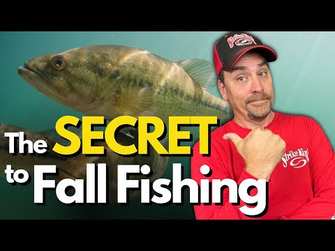 Видео: Этот подход к ловле осеннего окуня не сравнится ни с чем